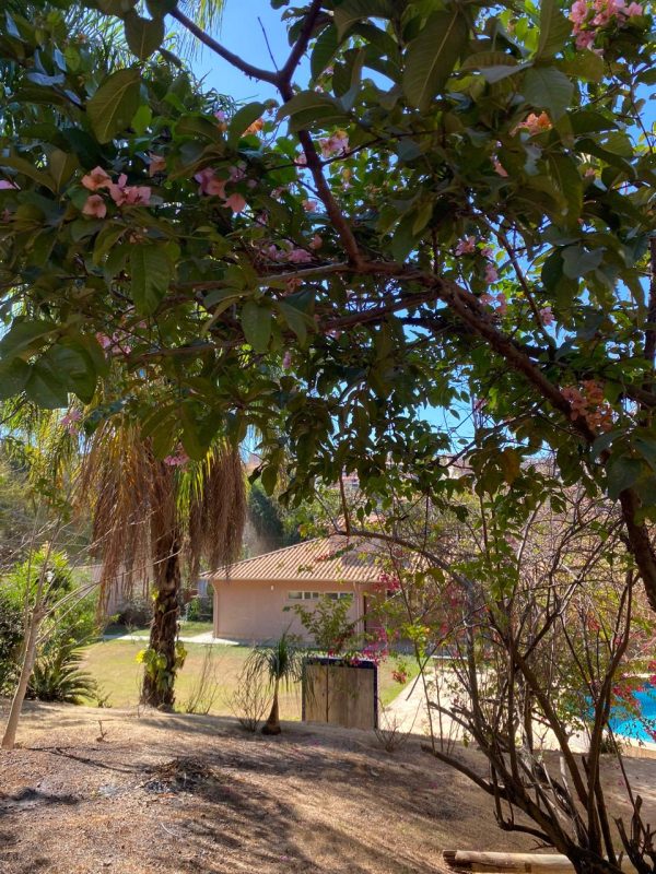 WhatsApp Image 2024-08-02 at 13.48.31 (2)